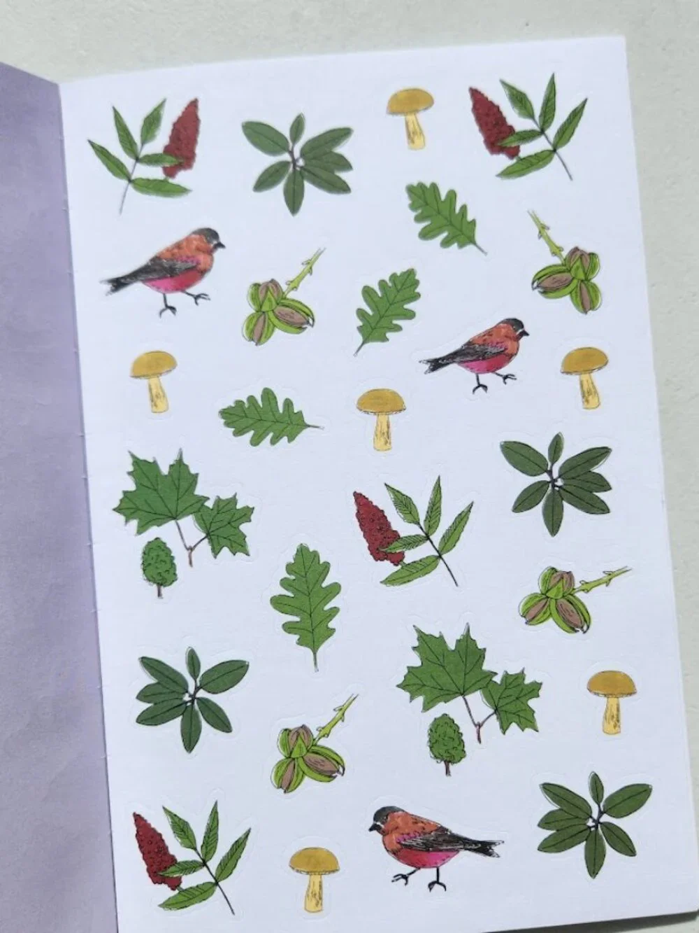 Nature Anatomy Sticker Book Julia Rothman 750 Stickers birds, feathers, wildflow